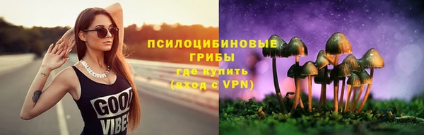 мдма Богородск