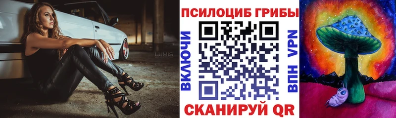как найти закладки  OMG онион  Псилоцибиновые грибы Psilocybine cubensis  Донской 